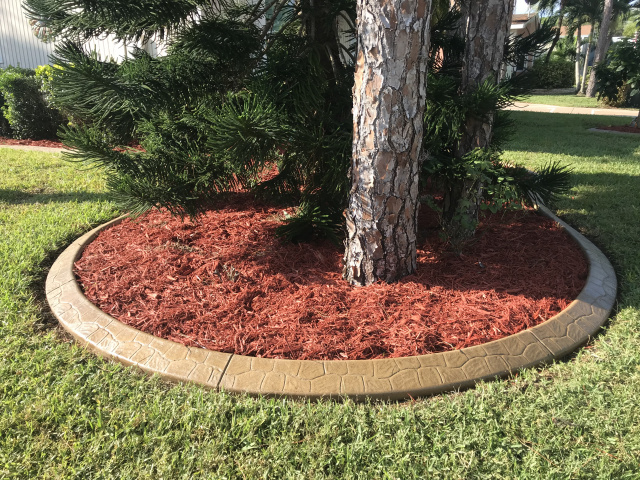 Cape Coral & Fort Myers Concrete tree rings