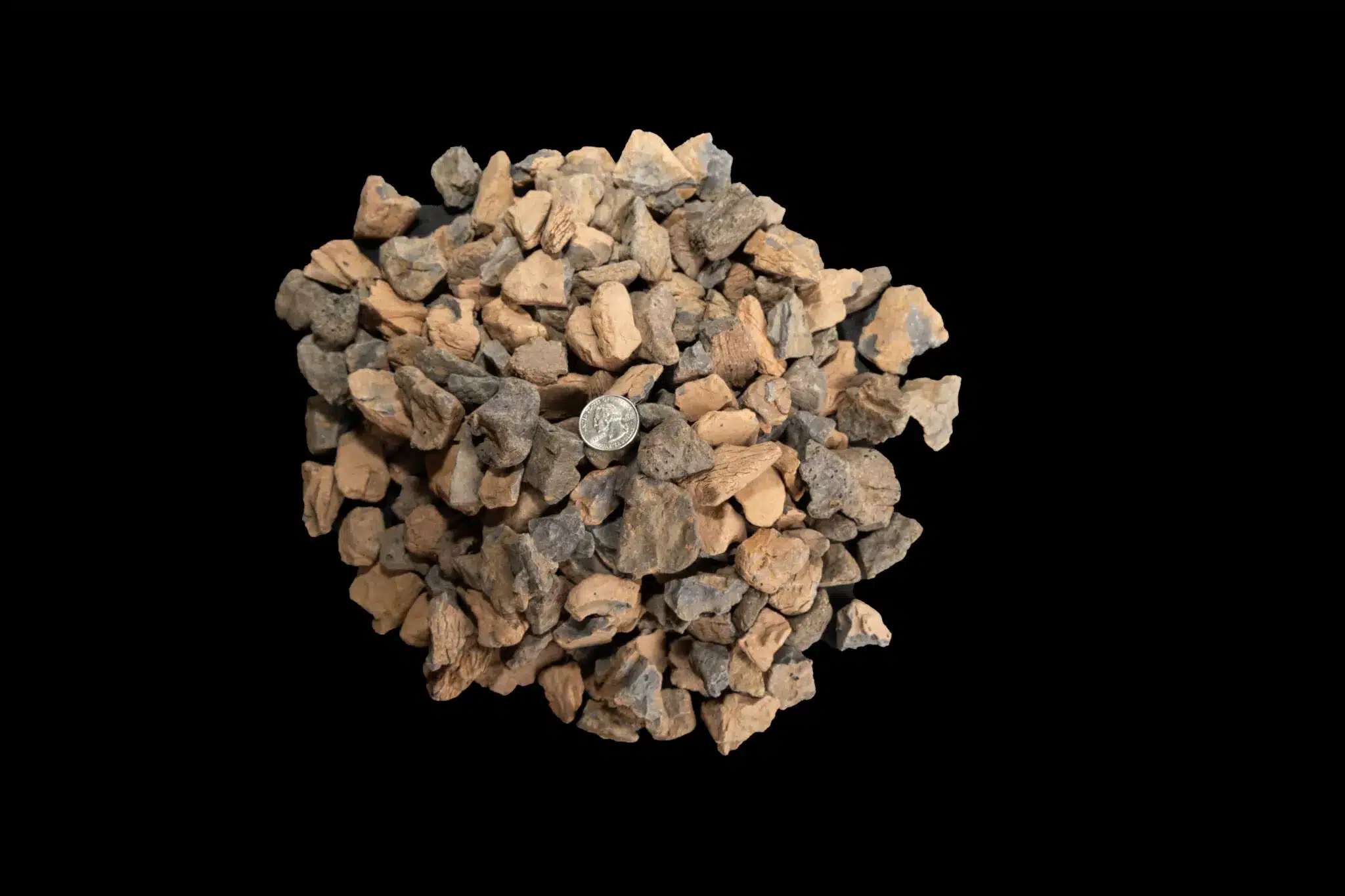 Stone Bark